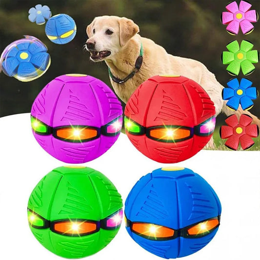 Morphball™ Flying Disc Dog Toy