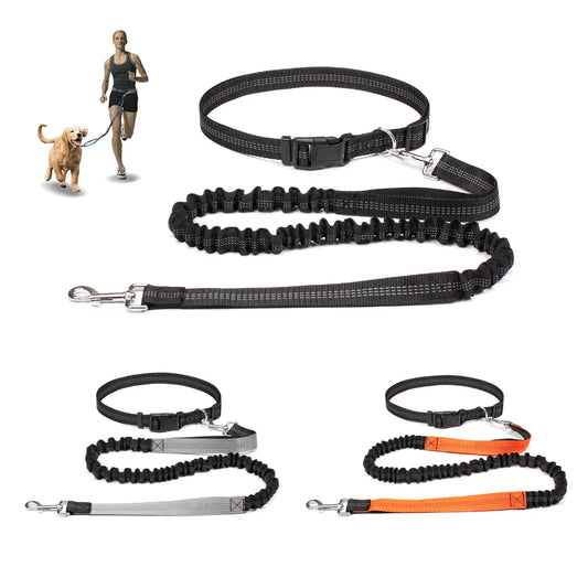 Trailrun™ Hands-Free Leash & Belt Set