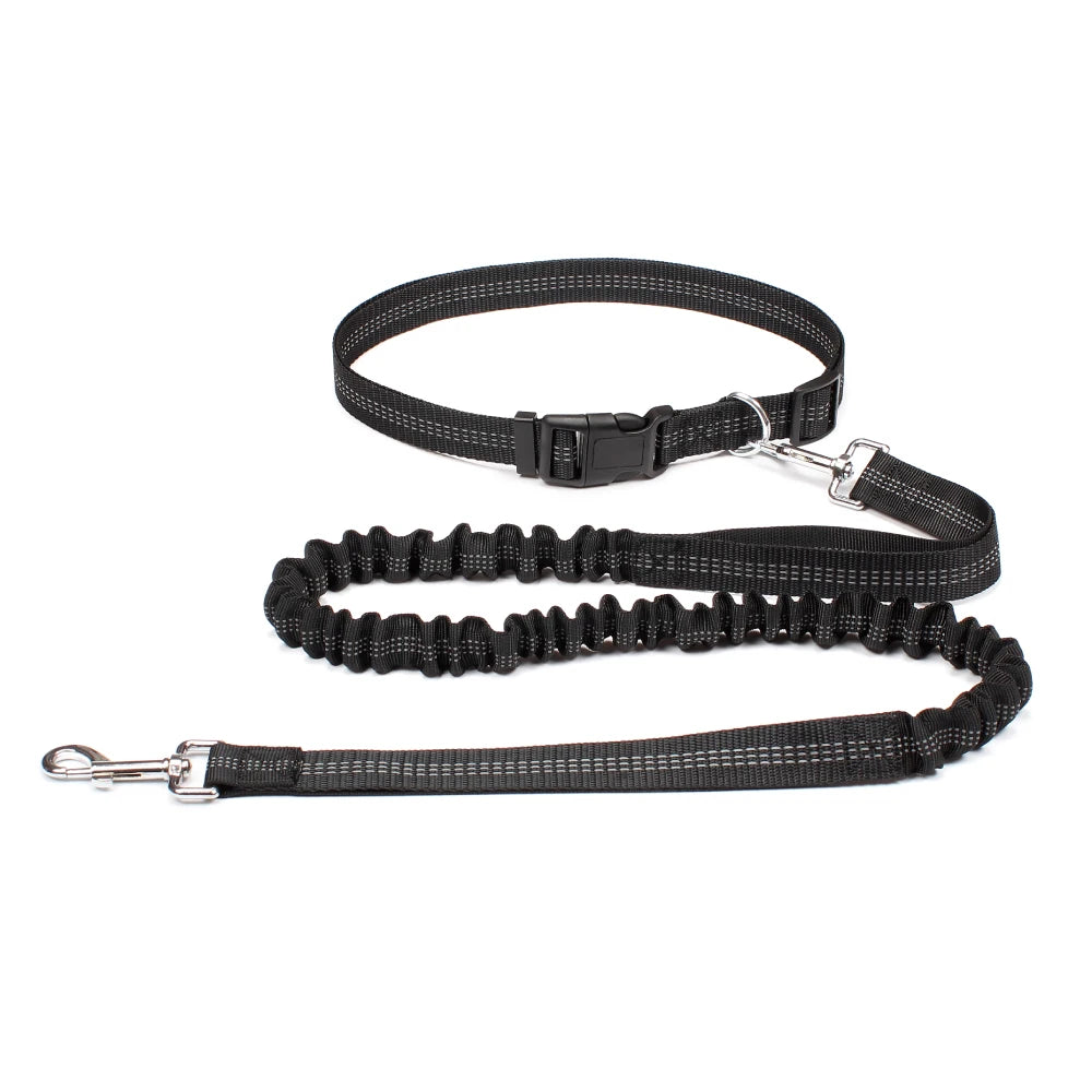 Trailrun™ Hands-Free Leash & Belt Set
