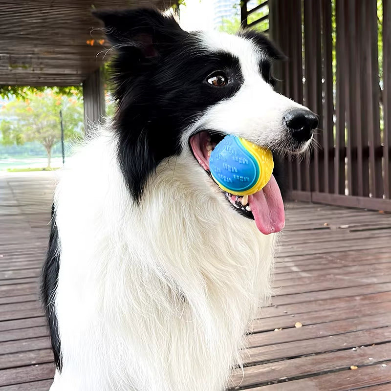 Interactive Soft TPR Dog Ball Toy - Squeaky, Bite Resistant, Perfect for Teeth Cleaning