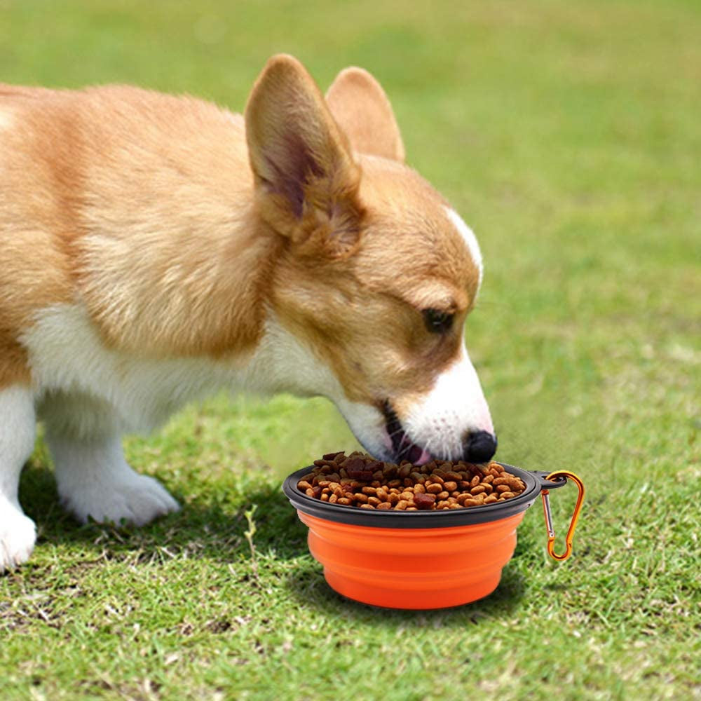 Versatile Collapsible Dog Bowls - 2 Pack of Portable Feeding & Watering Dishes in Vibrant Orange and Pink for All Breeds