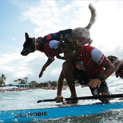 DFD Dog Life Jacket - Premium Adjustable Safety Vest with Reflective Trim & Enhanced Flotation for Small Breeds - Perfect for Water Adventures!