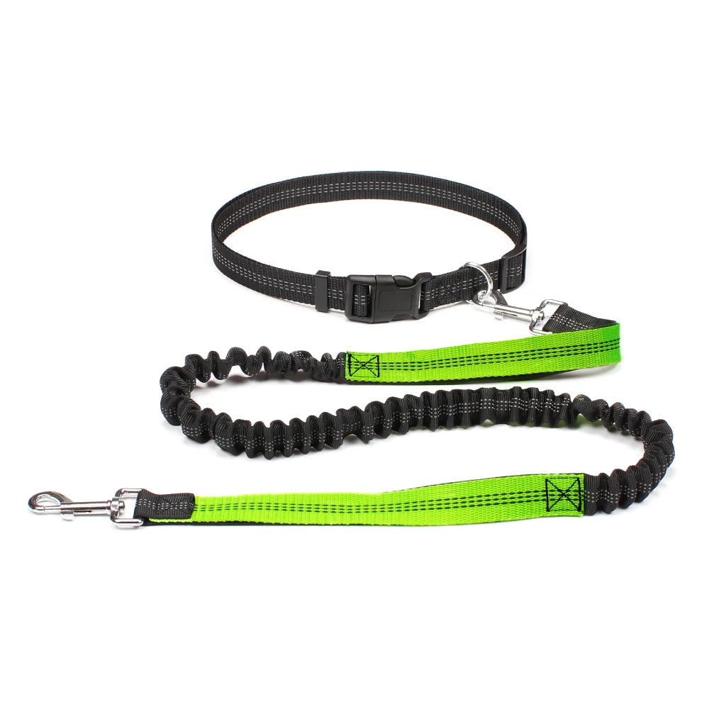 Trailrun™ Hands-Free Leash & Belt Set