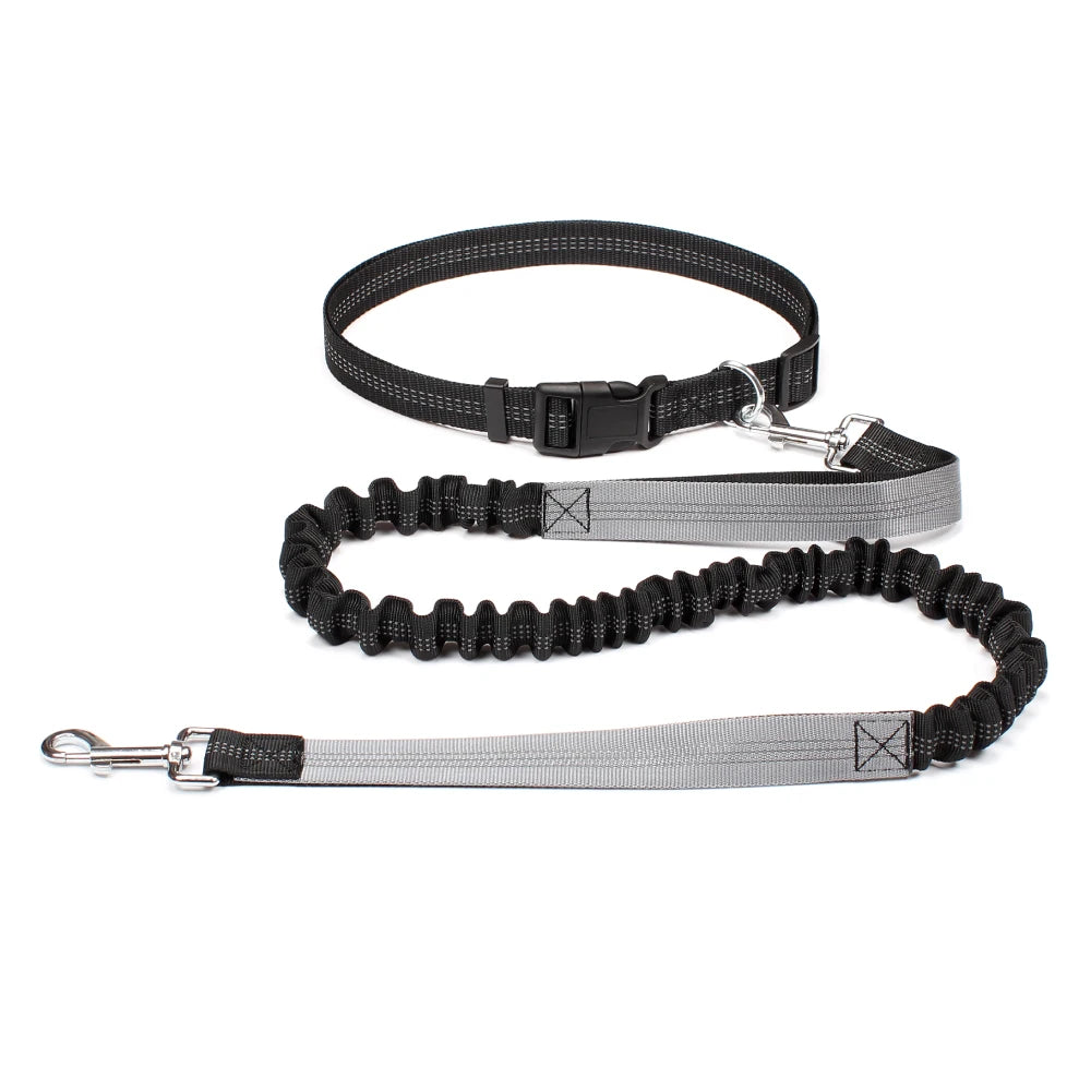 Trailrun™ Hands-Free Leash & Belt Set