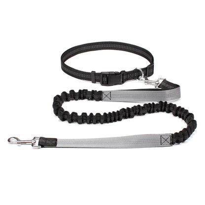 Trailrun™ Hands-Free Leash & Belt Set