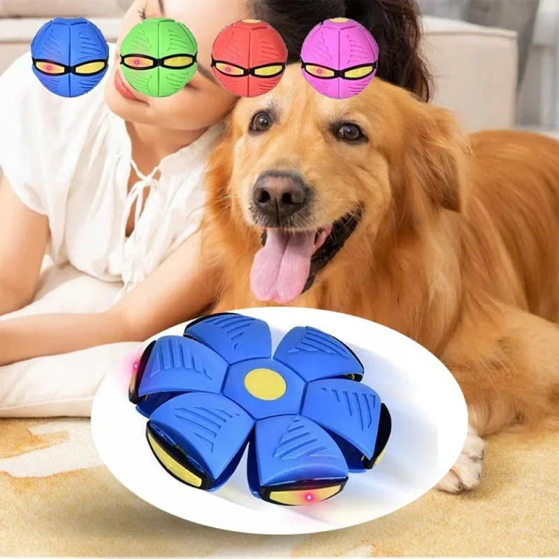 Morphball™ Flying Disc Dog Toy