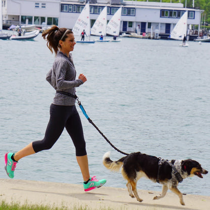 Trailrun™ Hands-Free Leash & Belt Set