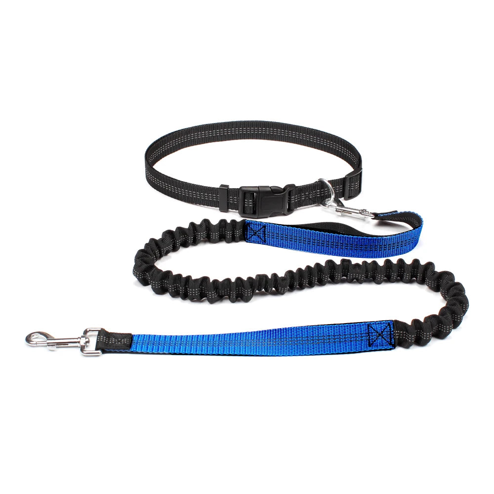 Trailrun™ Hands-Free Leash & Belt Set