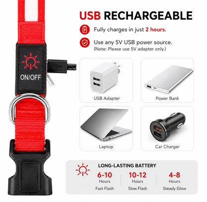 GlowGuard™ LED Dog Collar – USB Rechargeable