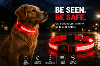 GlowGuard™ LED Dog Collar – USB Rechargeable