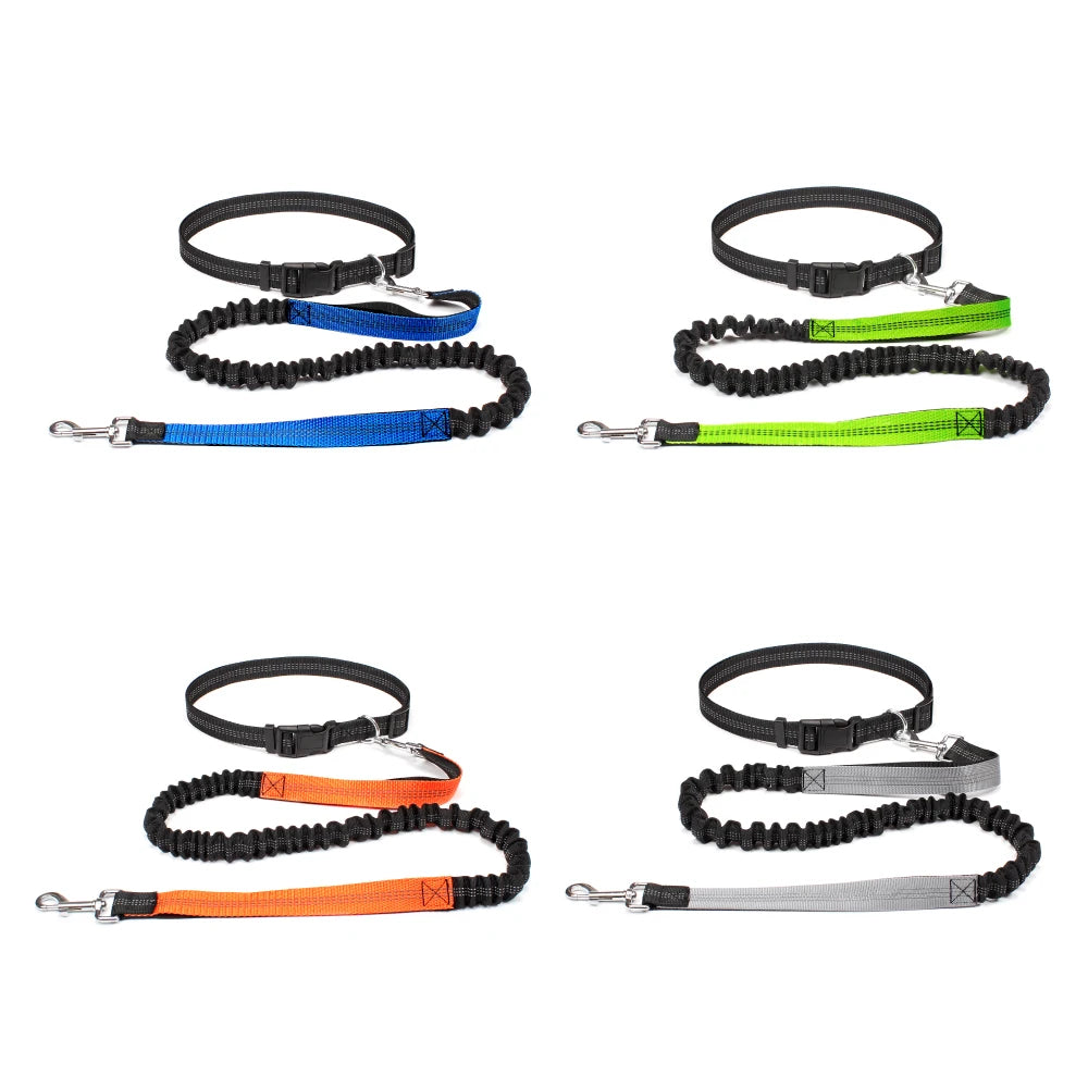Trailrun™ Hands-Free Leash & Belt Set