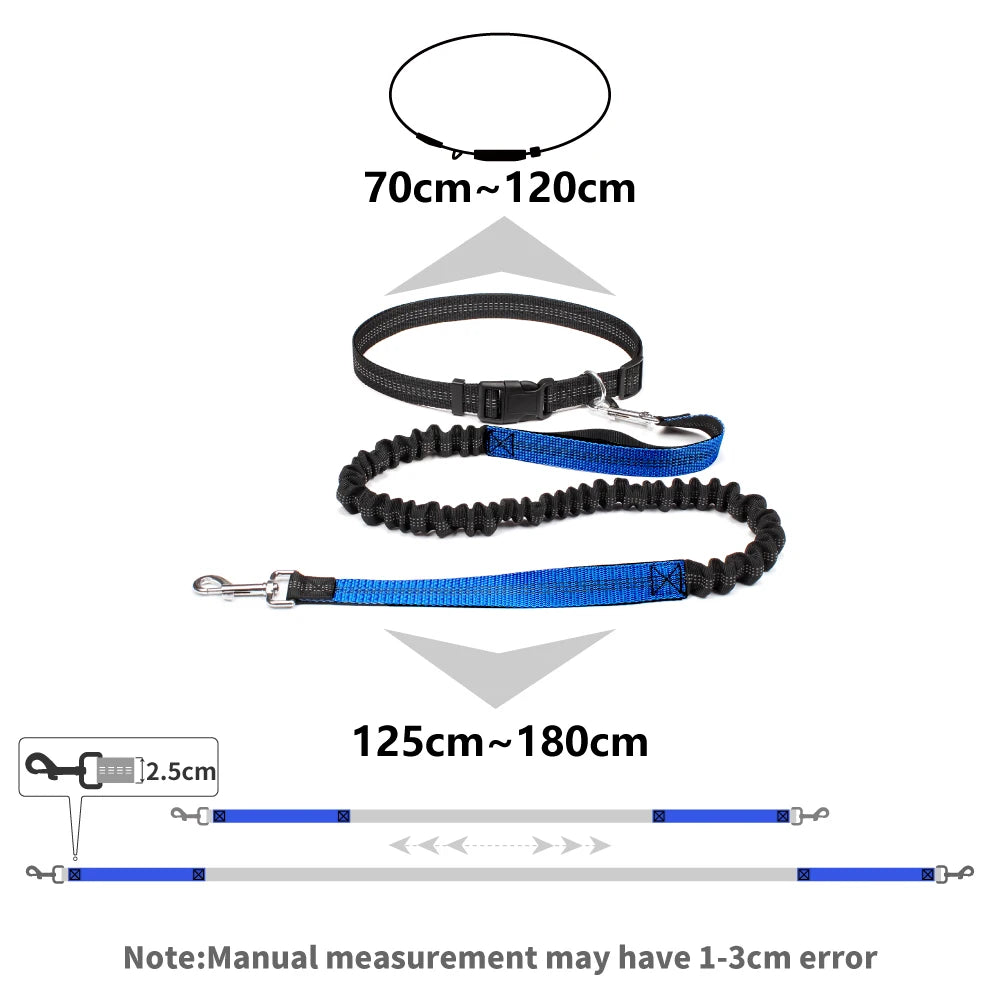 Trailrun™ Hands-Free Leash & Belt Set