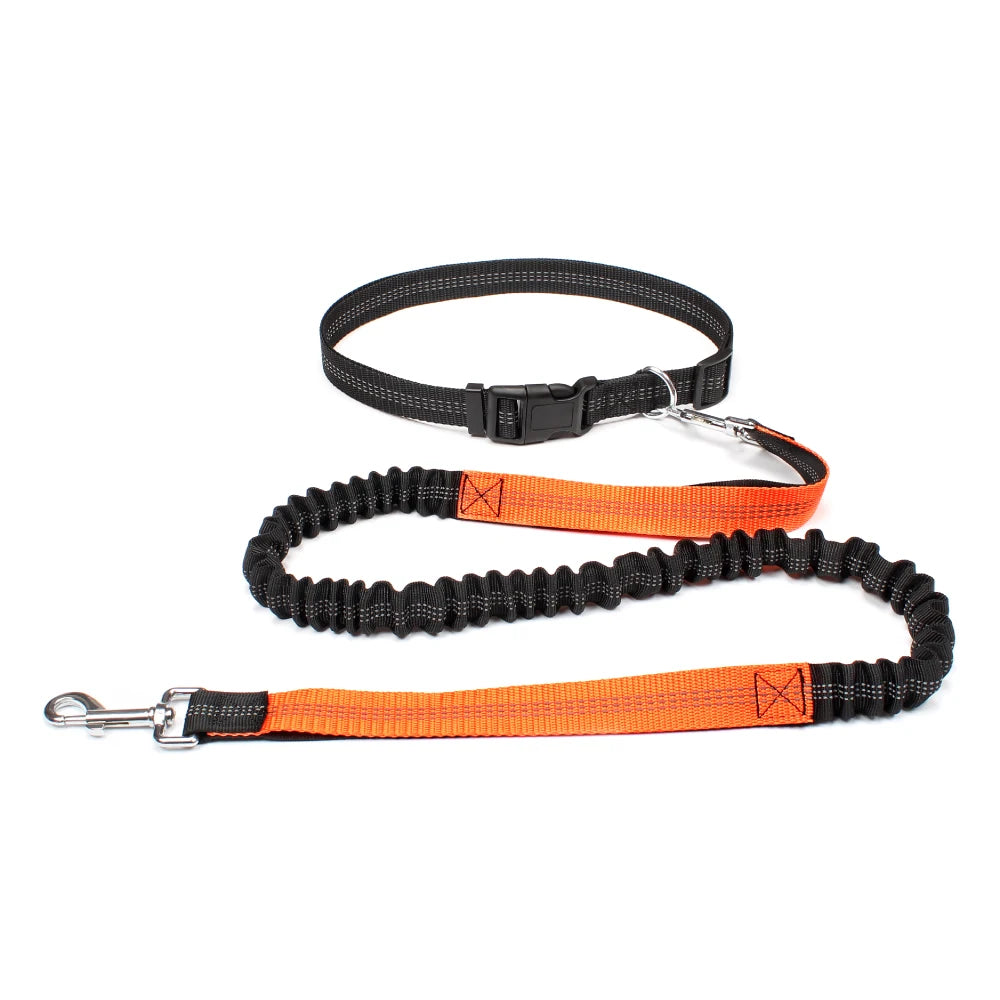 Trailrun™ Hands-Free Leash & Belt Set